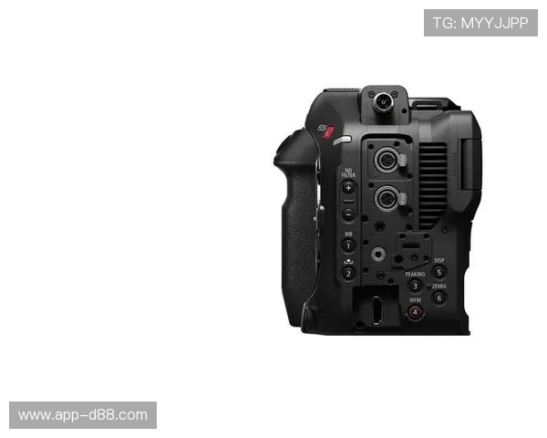 尊龙凯时z6最新版本下载常见问题解答，解决玩家在下载过程中遇到的各种疑问